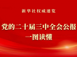 党的二十届三中全会公报一图读懂